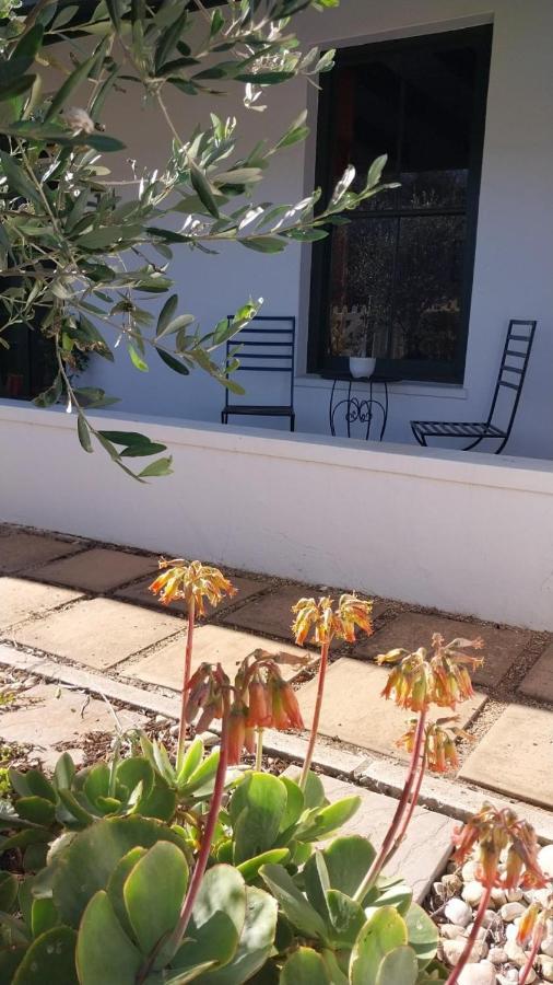6 Olives B&B Darling Eksteriør bilde
